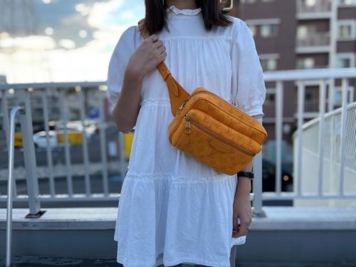 LOUIS VUITTON 　のルイ ヴィトン　