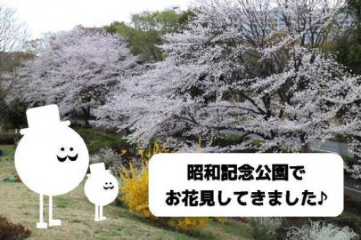 「お花見の立川 」