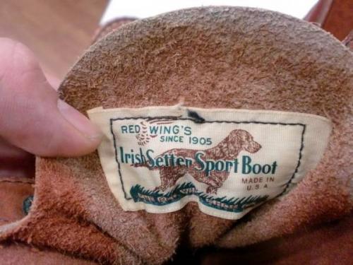 デットストックのアイリッシュセッター