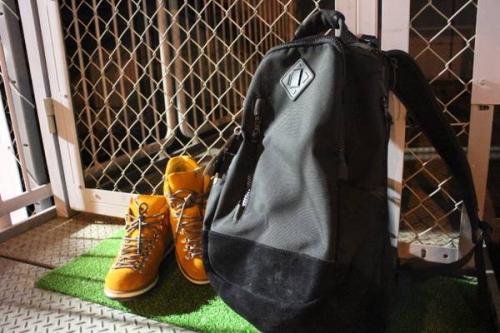 ヴィズヴィムのビズビム