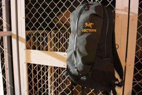 モノレールのレディース