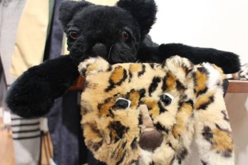 トレファクスタイル立川店ブログ画像１