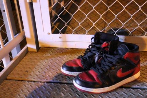 トレファクスタイル立川店ブログ画像３