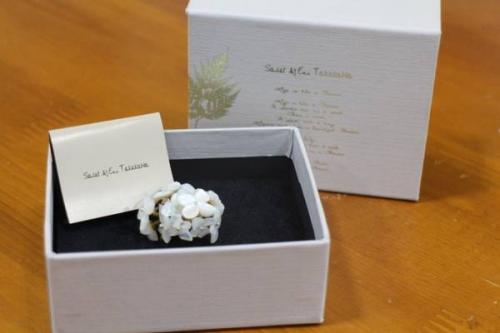 コットンパールのサレットバイエリタケカワ