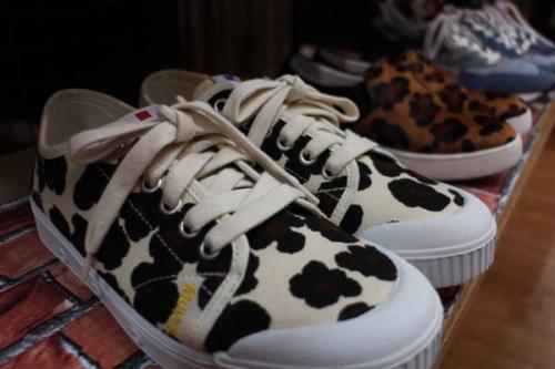 レディースの新入荷