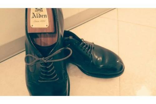 オールデンのトリッカーズ