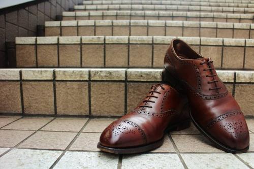 タッセルのカドガン