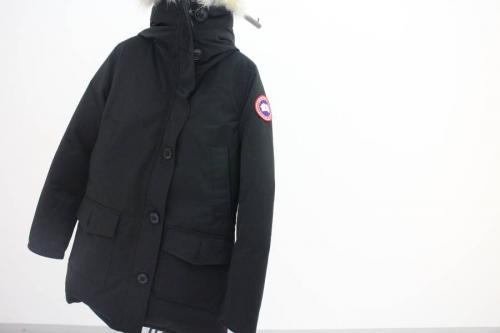 立川のカナダグース