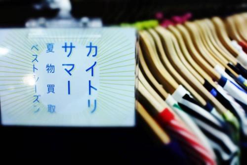 夏物の新入荷