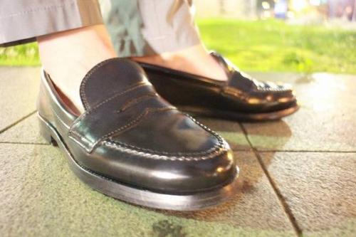 オールデンのコードバン