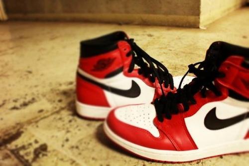 トレファクスタイル立川店ブログ画像１