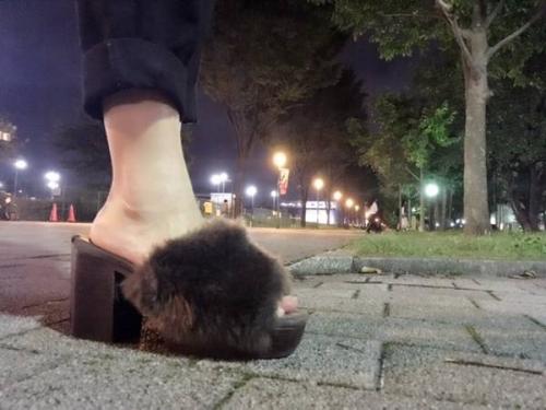 新入荷のファーサンダル