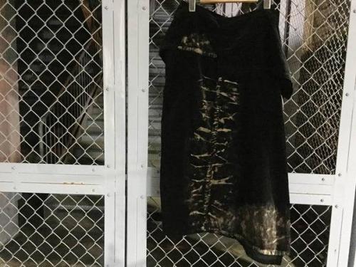 16年10月06日：画像６