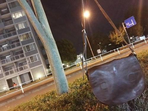 16年10月16日：画像６