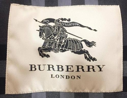 16年11月29日：画像１０