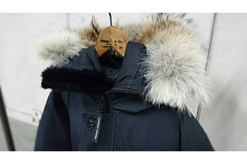 新入荷のカナダグース