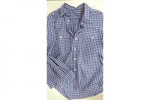 17年01月11日：画像６