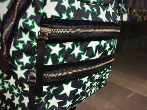 17年02月04日：画像１０