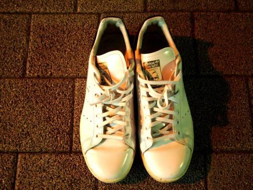 17年02月14日：画像６