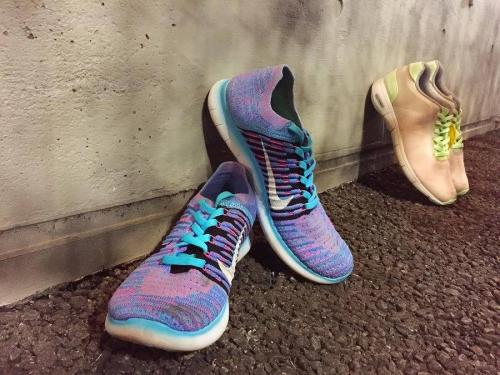 17年02月15日：画像６