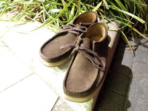 17年02月16日：画像６