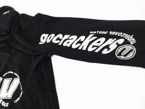 17年04月13日：画像６