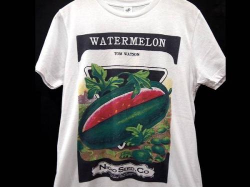 17年05月29日：画像７