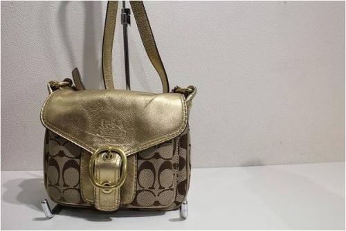 17年08月09日：画像６