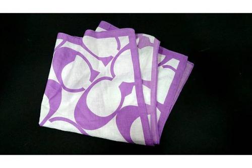 17年08月11日：画像９