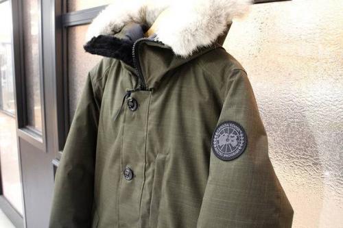 新入荷のカナダグース
