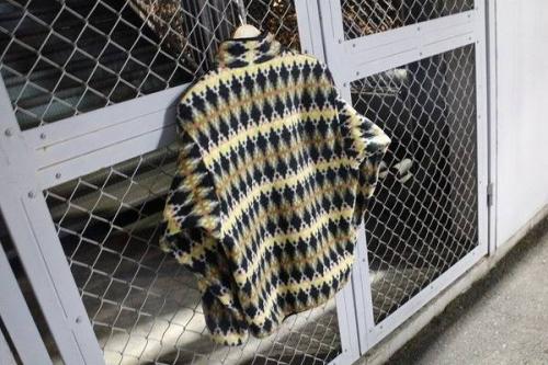 立川の古着買取