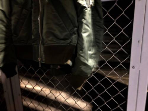 18年10月30日：画像７