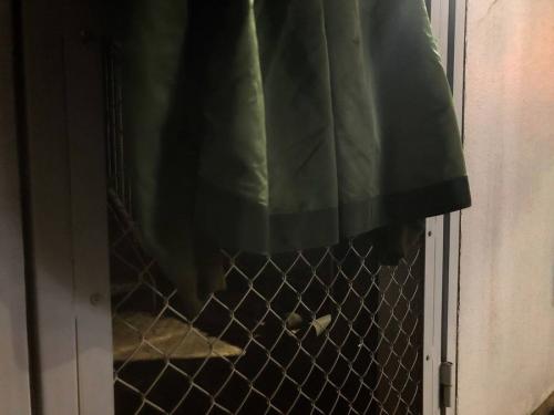 18年10月30日：画像９