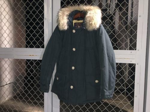 買取案内の新入荷