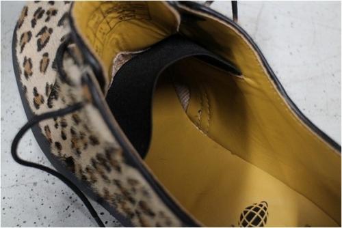 マーチンのレオパード