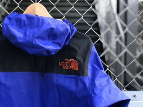 THE NORTH FACE(ザノースフェイス)のダウン