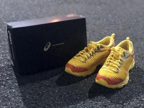 アシックス×キコ・コスタディノフのGEL DELVA