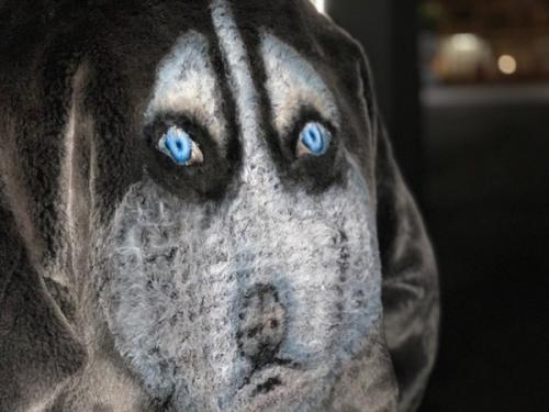 ダブレットの立川