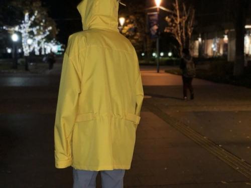 バレンシアガチームのRAINFOREST COMMON YELLOW