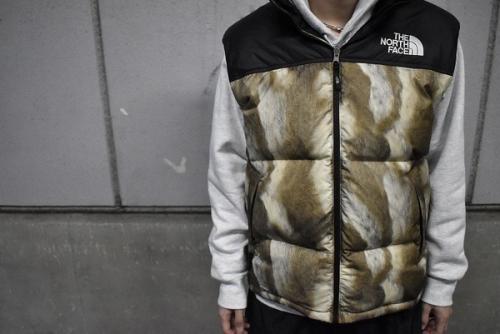 シュプリームのTHE NORTH FACE