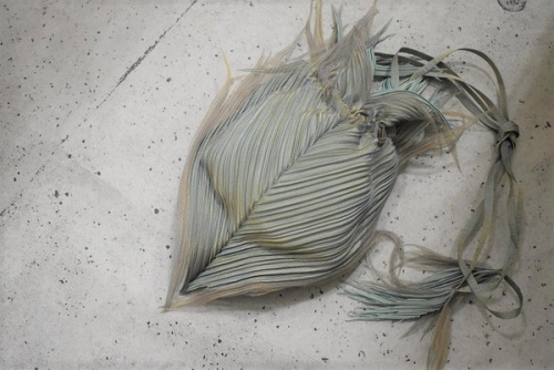 トレファクスタイル立川店ブログ画像１