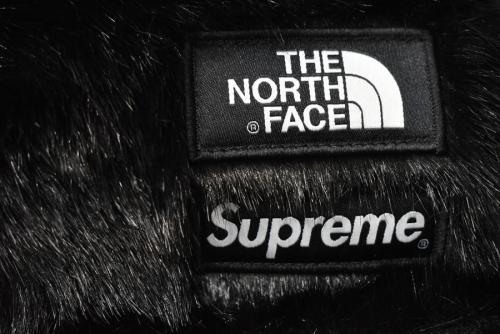 Supreme×THE NORTH FACEのシュプリーム×ザ・ノースフェイス