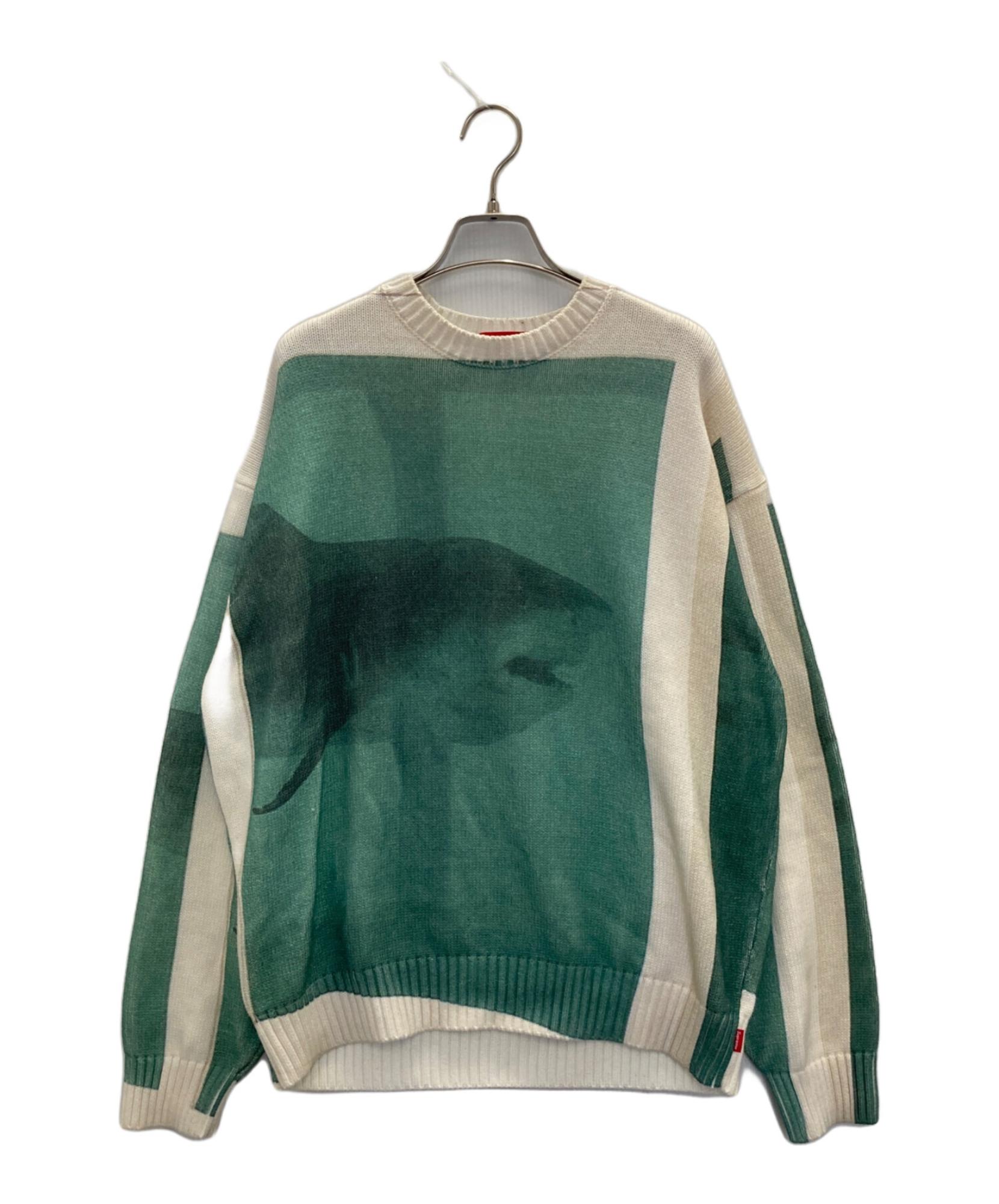 Supreme / シュプリーム】25SS Damien Hirst Sweater | 現代アートと