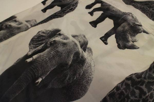 トレファクスタイル本八幡店ブログ画像１