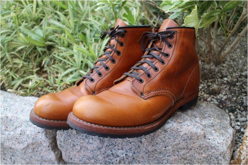 レッドウイングのベックマン