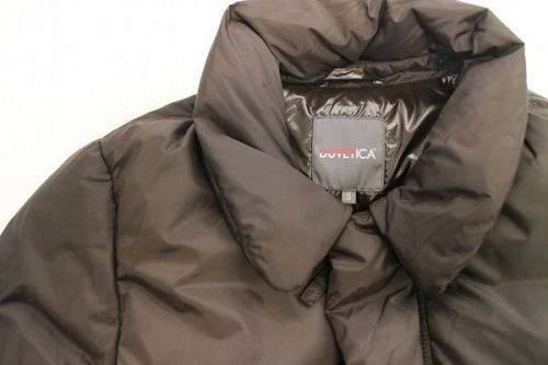 ダウンのザルモキシ