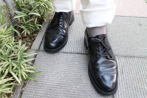 サンダースの古着