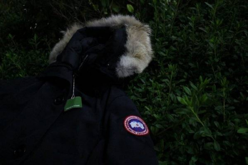 カナダグースのダウンジャケット