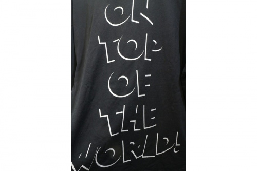 Disney(ディズニー)コラボのＴシャツ