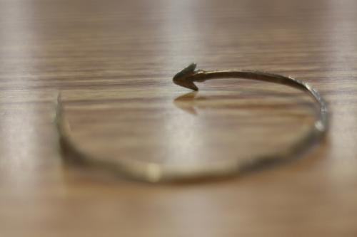 20年03月17日：画像６